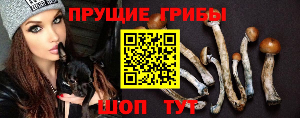 Псилоцибиновые грибы Magic Shrooms  продажа наркотиков  Урус-Мартан  Вход с VPN 
